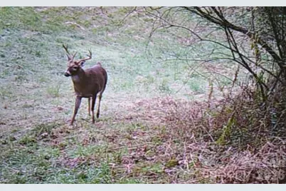 30 Morning Glory Lane, Weaverville, NC 28787 - Photo 39