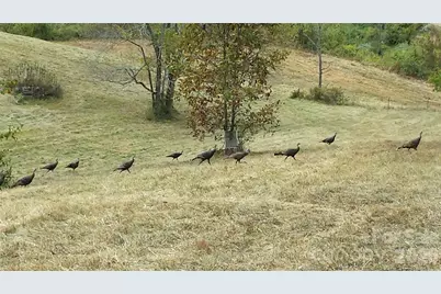 30 Morning Glory Lane, Weaverville, NC 28787 - Photo 35