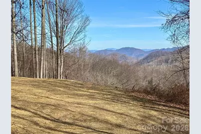 (Ne Lot) Meadow Fork Road, Hot Springs, NC 28743 - Photo 1