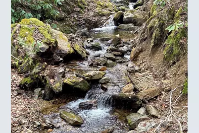 (Ne Lot) Meadow Fork Road, Hot Springs, NC 28743 - Photo 7