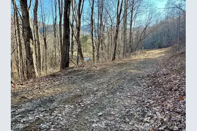 (Ne Lot) Meadow Fork Road, Hot Springs, NC 28743 - Photo 9