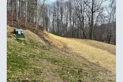 (Ne Lot) Meadow Fork Road, Hot Springs, NC 28743 - Photo 11