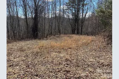 (North Lot) Meadow Fork Road, Hot Springs, NC 28743 - Photo 23