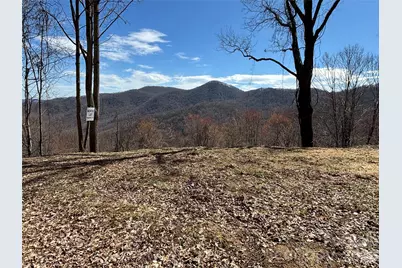 (North Lot) Meadow Fork Road, Hot Springs, NC 28743 - Photo 15