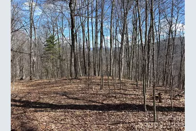 (North Lot) Meadow Fork Road, Hot Springs, NC 28743 - Photo 25