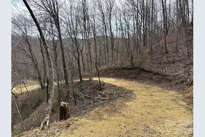 (North Lot) Meadow Fork Road, Hot Springs, NC 28743 - Photo 11