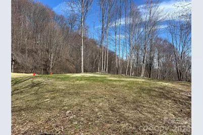 (North Lot) Meadow Fork Road, Hot Springs, NC 28743 - Photo 7