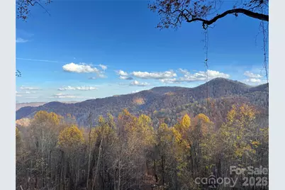 (North Lot) Meadow Fork Road, Hot Springs, NC 28743 - Photo 3