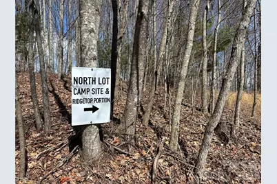 (North Lot) Meadow Fork Road, Hot Springs, NC 28743 - Photo 21