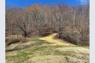 (North Lot) Meadow Fork Road, Hot Springs, NC 28743 - Photo 9