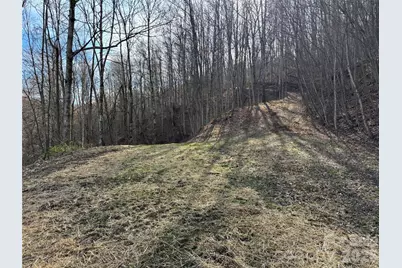 (North Lot) Meadow Fork Road, Hot Springs, NC 28743 - Photo 17