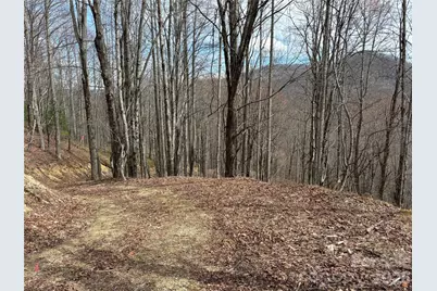 (North Lot) Meadow Fork Road, Hot Springs, NC 28743 - Photo 19