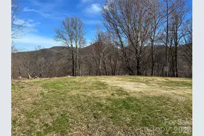 (North Lot) Meadow Fork Road, Hot Springs, NC 28743 - Photo 29