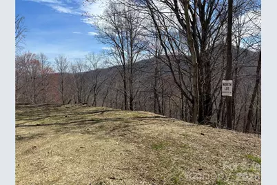(North Lot) Meadow Fork Road, Hot Springs, NC 28743 - Photo 31