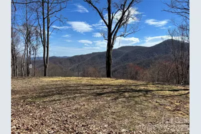 (North Lot) Meadow Fork Road, Hot Springs, NC 28743 - Photo 13