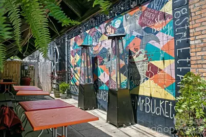 163 W French Broad Street, Brevard, NC 28712 - Photo 21