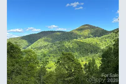 (West Lot) Meadow Fork Road, Hot Springs, NC 28743 - Photo 1