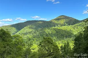 (West Lot) Meadow Fork Rd, Hot Springs, NC 28743 - Photo 1