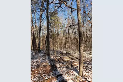 00 Stokes Ferry Road, Gold Hill, NC 28071 - Photo 5