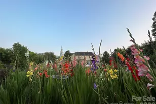 53 Stone River Dr, Asheville, NC 28804 - Photo 47