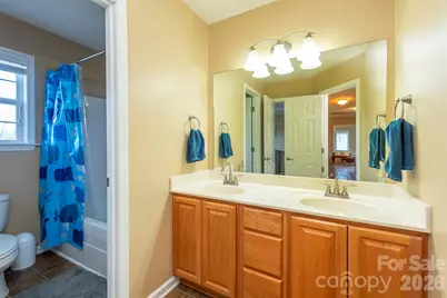 53 Stone River Drive, Asheville, NC 28804 - Photo 29