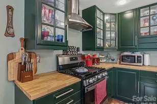 239 Old Lion Rd, Statesville, NC 28625 - Photo 13