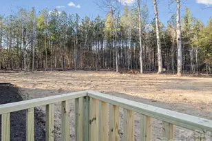 876 Tiney Rd, Ellenboro, NC 28040 - Photo 9