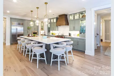 110 Willow View Loop, Davidson, NC 28036 - Photo 3