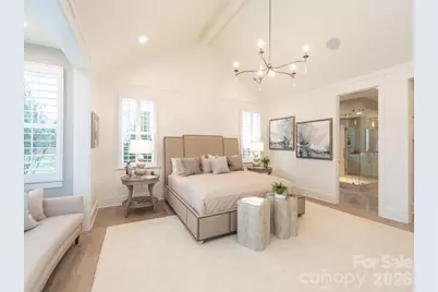 110 Willow View Loop, Davidson, NC 28036 - Photo 23