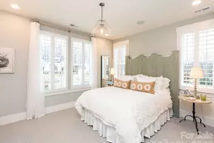 110 Willow View Loop, Davidson, NC 28036 - Photo 27