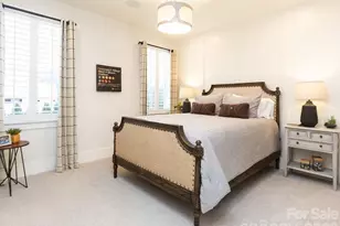 110 Willow View Loop, Davidson, NC 28036 - Photo 29