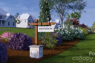 110 Willow View Loop, Davidson, NC 28036 - Photo 41