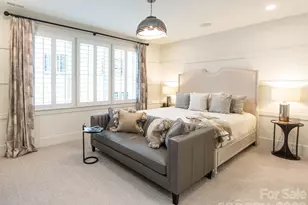 110 Willow View Loop, Davidson, NC 28036 - Photo 35