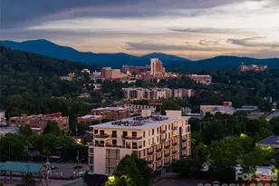 45 Asheland Ave, Asheville, NC 28801 - Photo 47