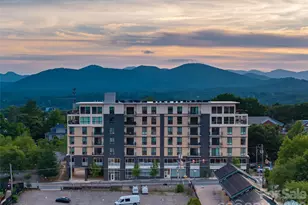 45 Asheland Ave, Asheville, NC 28801 - Photo 43