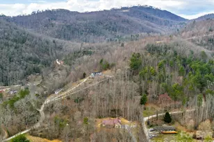 1230 Terrys Gap Rd, Hendersonville, NC 28792 - Photo 27