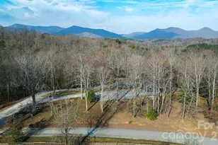 550 S River Rd, Tryon, NC 28782 - Photo 1