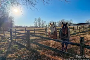 550 S River Rd, Tryon, NC 28782 - Photo 45