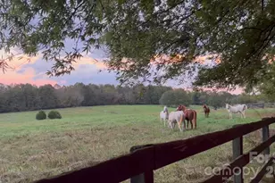 550 S River Rd, Tryon, NC 28782 - Photo 39