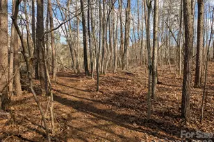 3985 Mt Hope Church Rd, Salisbury, NC 28146 - Photo 35