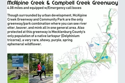 7924 E Lane Drive, Charlotte, NC 28212 - Photo 17