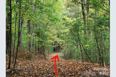 00 Hickory Wood Trail #20,21, Hendersonville, NC 28739 - Photo 3