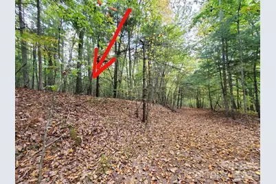 00 Hickory Wood Trail #20,21, Hendersonville, NC 28739 - Photo 5