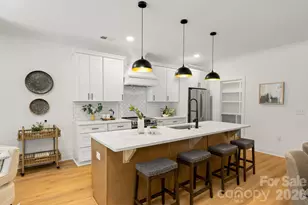 1800 Vinton St, Charlotte, NC 28216 - Photo 9