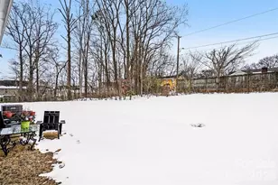 10136 Chatham Run Ln, Charlotte, NC 28262 - Photo 29