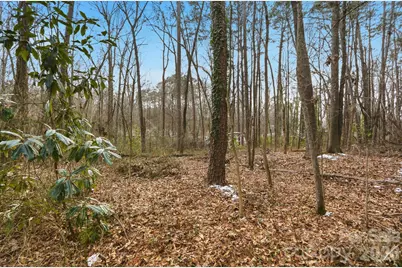 00 W Border Street, Dallas, NC 28034 - Photo 13