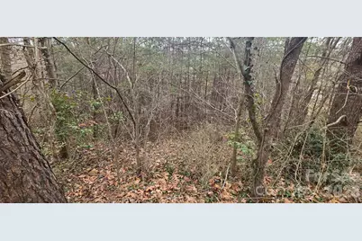 Lot 2 Kuykendall Lane, Canton, NC 28716 - Photo 5