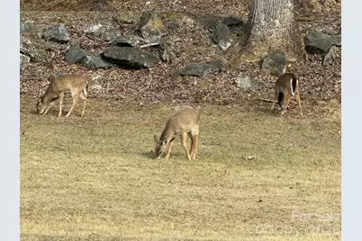 214 Davis Ridge Road, Banner Elk, NC 28604 - Photo 41