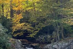 214 Davis Ridge Rd, Banner Elk, NC 28604 - Photo 35