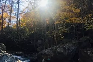 214 Davis Ridge Rd, Banner Elk, NC 28604 - Photo 5